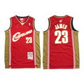 LeBron James 2003-04 Cleveland Cavaliers Throwback Jersey
Mitchell & Ness "Hardwood Classics"  Jersey